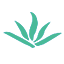 十月恩月嫂管理系统